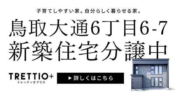 鳥取大通6丁目6-7 新築住宅 分譲中
